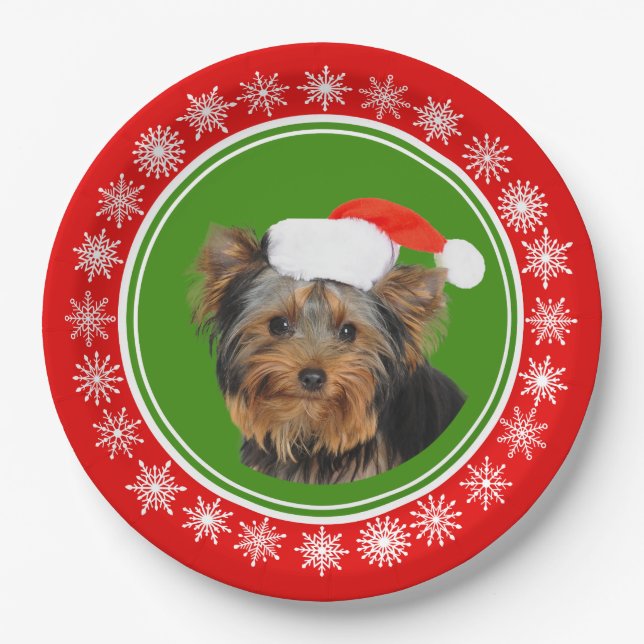 Yorkshire-Terrier-niedliches Pappteller (Vorderseite)