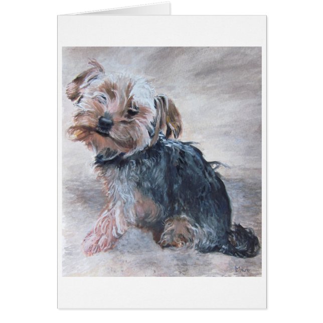 Yorkshire Terrier, Painting, Card (Vorne)