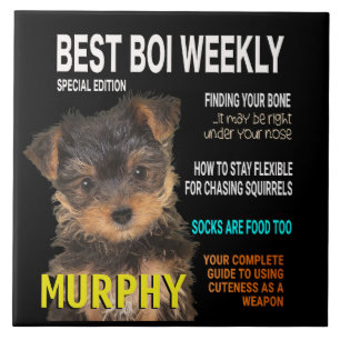 Yorkshire Terrier Parody Magazine Cover Fliese
