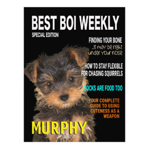 Yorkshire Terrier Parody Magazine Cover Fotodruck
