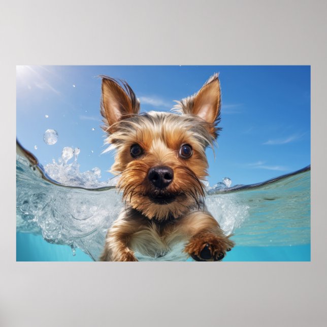 Yorkshire Terrier Pet Dog Animal Fun Poster (Vorne)