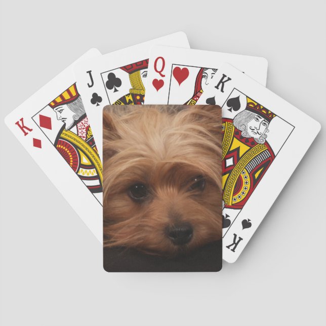 Yorkshire Terrier Playing Cards Spielkarten (Rückseite)