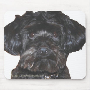 Yorkshire Terrier Poodle Mix Mousepad