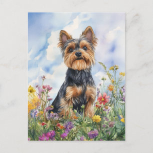 Yorkshire Terrier - Postcard Postkarte