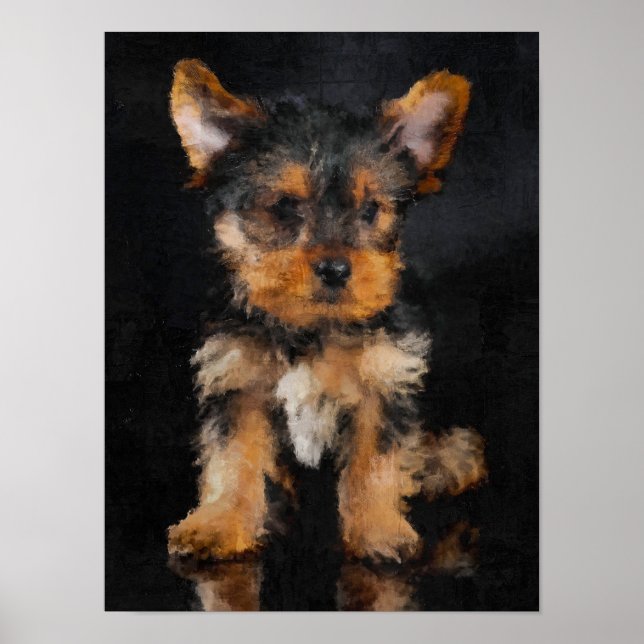 Yorkshire Terrier Poster (Vorne)