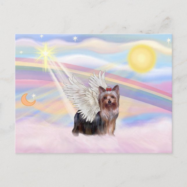 Yorkshire Terrier Postkarte (Vorderseite)