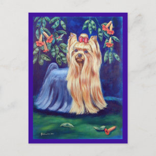 Yorkshire Terrier Postkarte