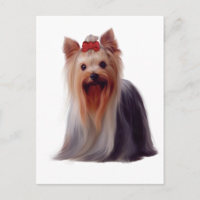 Yorkshire Terrier Postkarte (Vorderseite)