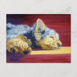 Yorkshire Terrier Postkarte