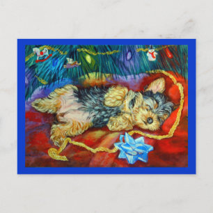 Yorkshire Terrier Postkarte
