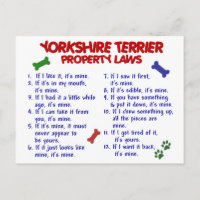 YORKSHIRE TERRIER Property Laws 2 Yorkie