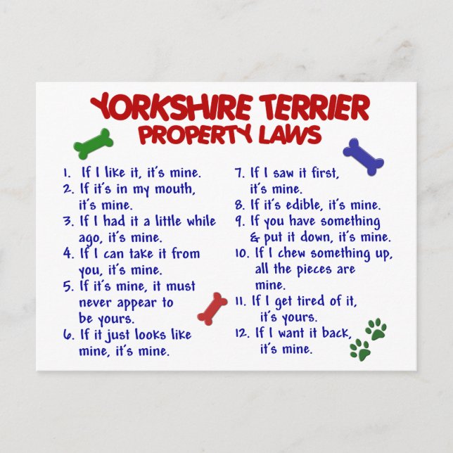 YORKSHIRE TERRIER Property Laws 2 Yorkie Postkarte (Vorderseite)