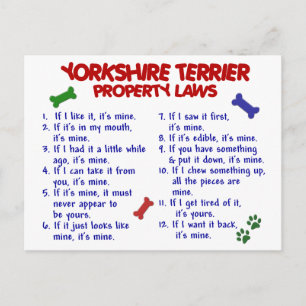 YORKSHIRE TERRIER Property Laws 2 Yorkie Postkarte
