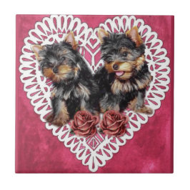 Yorkshire Terrier Puppies Valentines Fliese