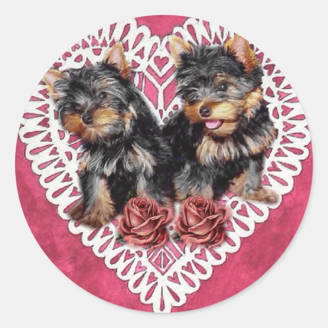 Yorkshire Terrier Puppies Valentines Runder Aufkleber (Vorderseite)