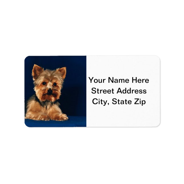 Yorkshire Terrier Puppy Adressaufkleber (Vorne)