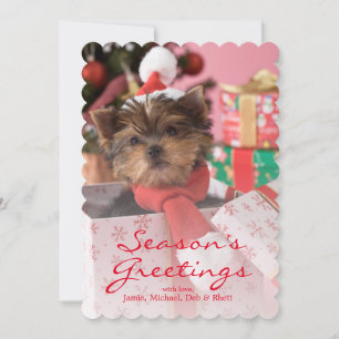 Yorkshire Terrier Puppy and Christmas 2 Feiertagskarte