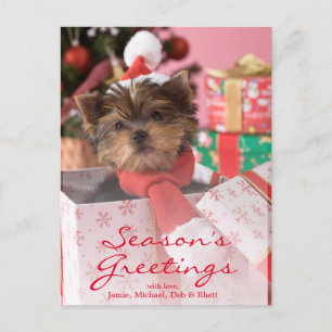 Yorkshire Terrier Puppy and Christmas 2 Feiertagspostkarte