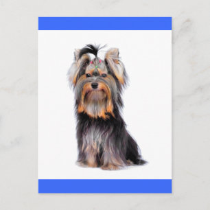 Yorkshire Terrier Puppy Dog Blank Blue Postcard Postkarte