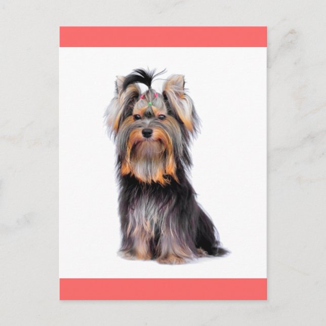 Yorkshire Terrier Puppy Dog Blank Pink Postcard Postkarte (Vorderseite)