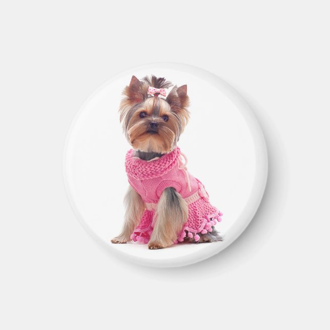 Yorkshire Terrier Puppy Dog in einem rosa Kleiderm Magnet (Vorne)