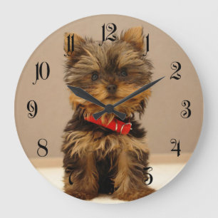 Yorkshire Terrier Puppy Große Wanduhr