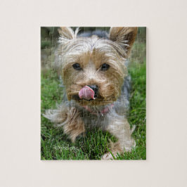 Yorkshire Terrier Puppy - "jjhelene design" Puzzle