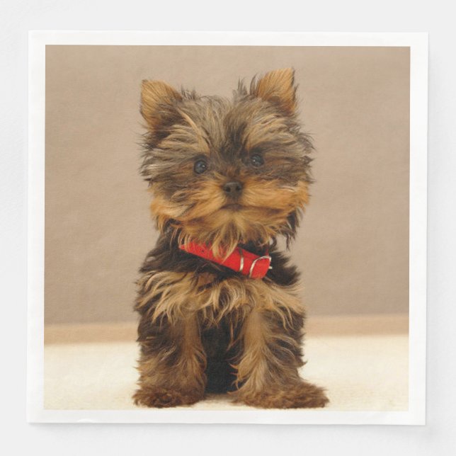 Yorkshire Terrier Puppy Serviette (Vorderseite)