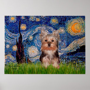 Yorkshire Terrier Puppy - Starry Night Poster