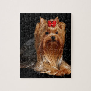 Yorkshire Terrier Puzzle