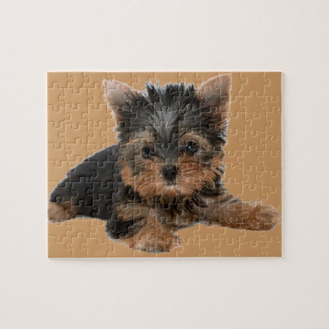 YORKSHIRE TERRIER PUZZLE (Horizontal)
