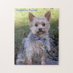 Yorkshire Terrier Puzzle