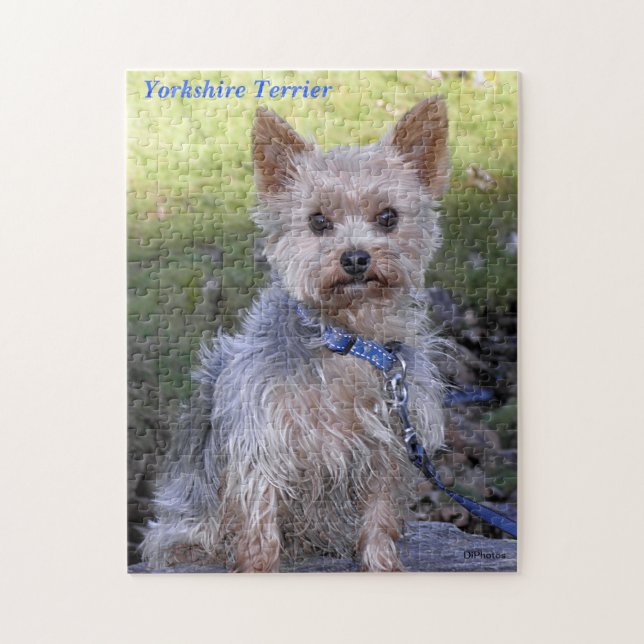 Yorkshire Terrier Puzzle (Vertikal)