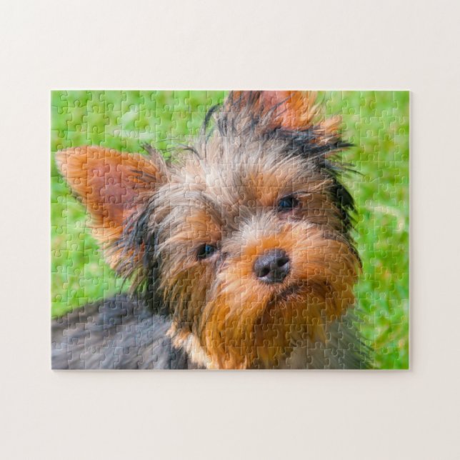 Yorkshire Terrier Puzzle (Horizontal)