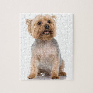 Yorkshire Terrier Puzzle