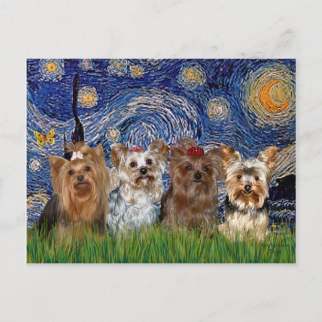 Yorkshire Terrier Quad - Starry Night Postkarte (Vorderseite)