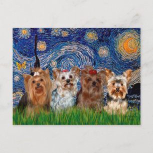 Yorkshire Terrier Quad - Sternennacht Postkarte