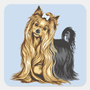Yorkshire Terrier Quadratischer Aufkleber