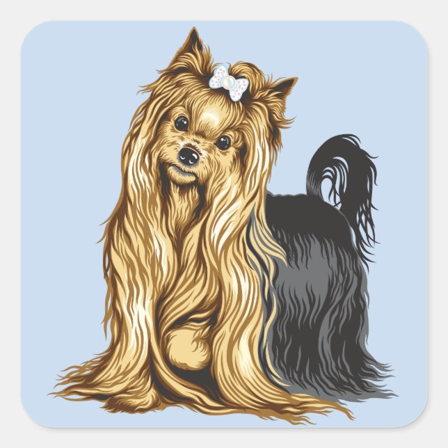 Yorkshire Terrier Quadratischer Aufkleber (Vorderseite)