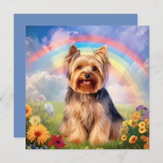 Yorkshire Terrier Rainbow Bridge Yorkie Beileid