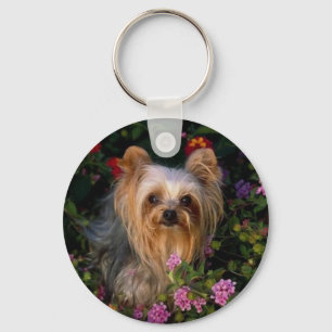 Yorkshire Terrier Schlüsselanhänger