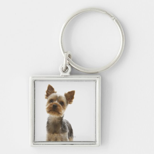 Yorkshire Terrier Schlüsselanhänger (Vorne)