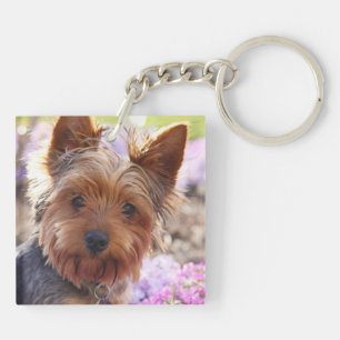 Yorkshire Terrier Schlüsselanhänger