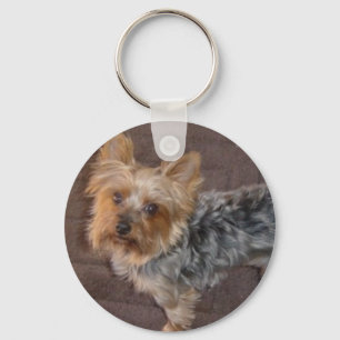 Yorkshire-Terrier-Schlüsselanhänger Schlüsselanhänger