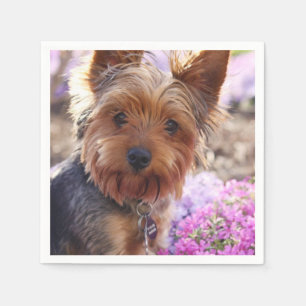 Yorkshire Terrier Serviette