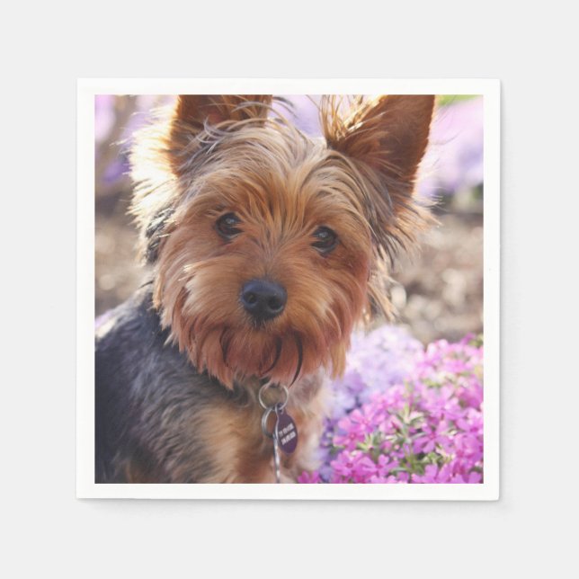 Yorkshire Terrier Serviette (Vorderseite)