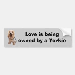 Yorkshire-Terrier-so niedlicher Autoaufkleber