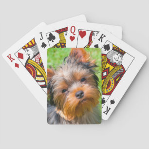 Yorkshire Terrier Spielkarten