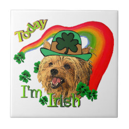 Yorkshire Terrier St Patricks Fliese