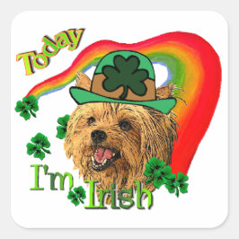 Yorkshire Terrier St Patricks Quadratischer Aufkleber
